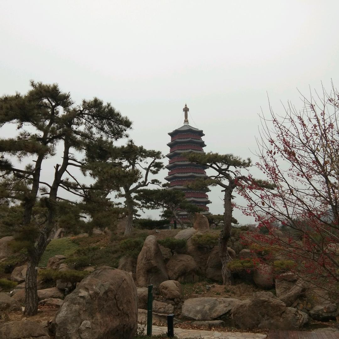 领悟