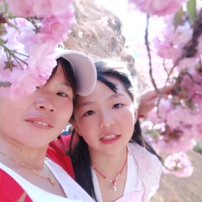 一生输给爱情