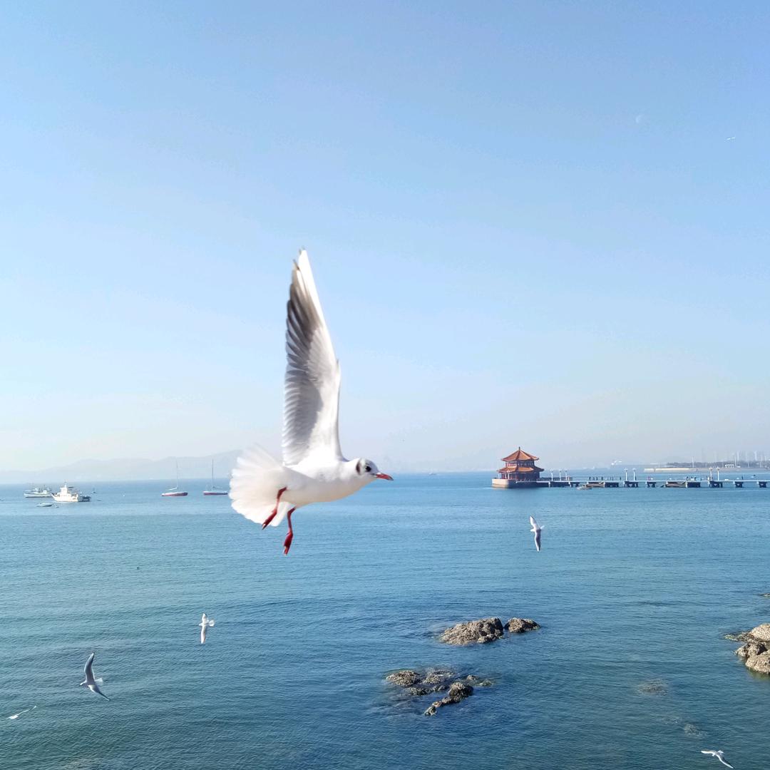 一诺的海鲜小店