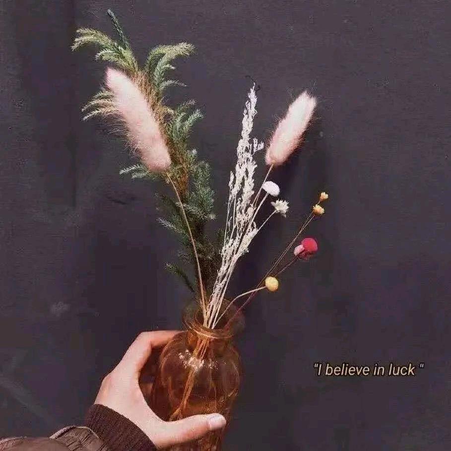 🦋ꦿ᭄໊🕊竹露荷风᭄ꦿᩚ٭