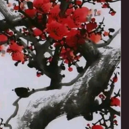 梅如疯