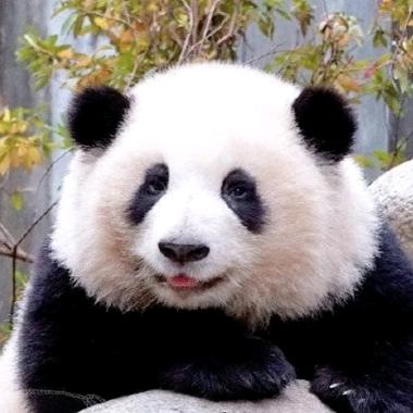 小李同学🇨🇳
