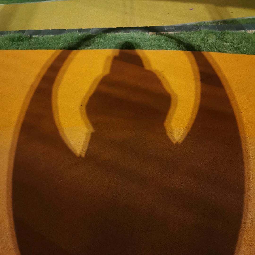 谁的小眼睛还没有看老师