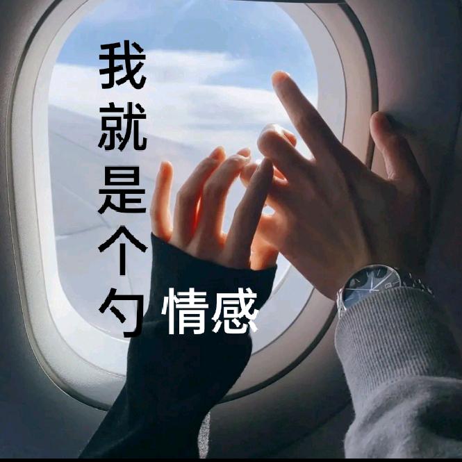 我就是个勺  (进入会员群加V)
