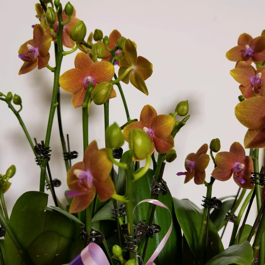 再也回不去的青春