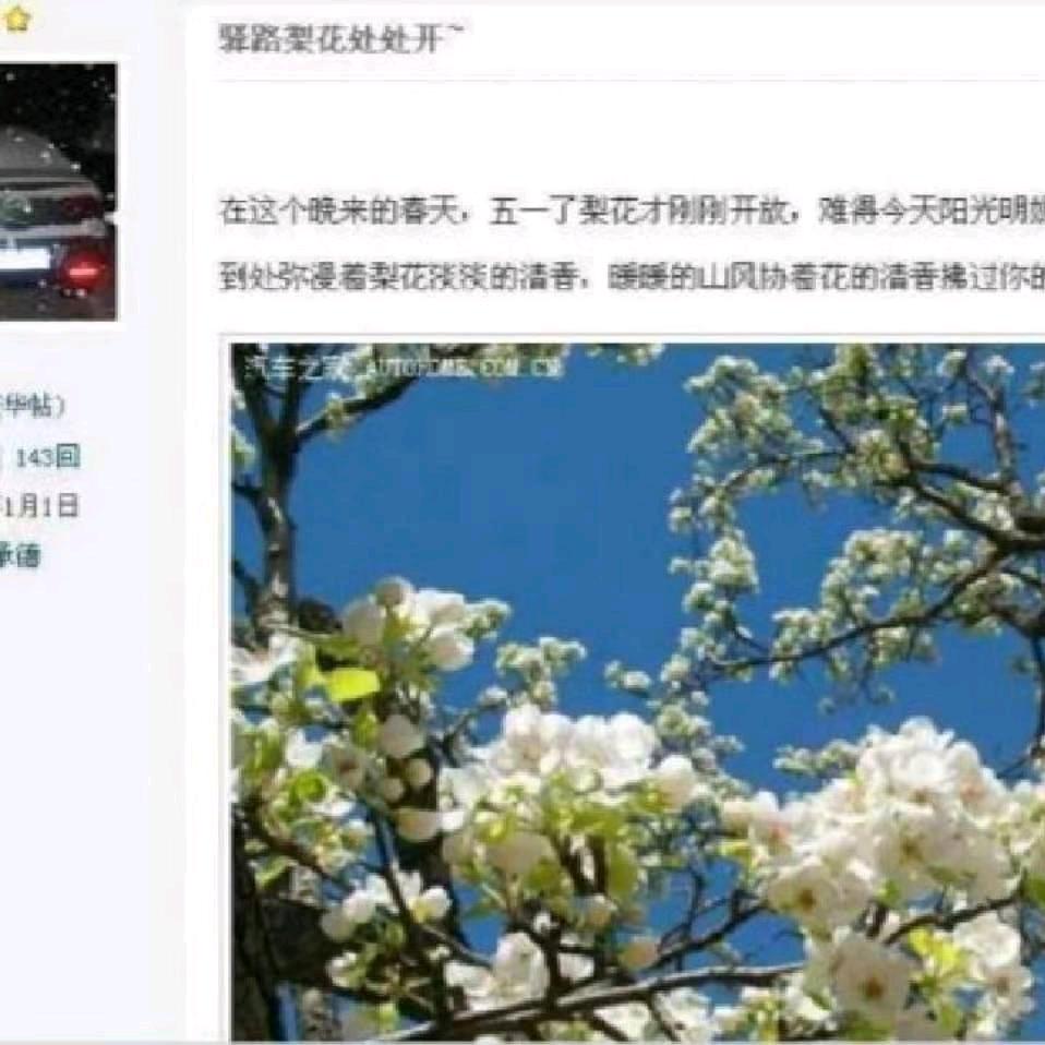 往事如烟