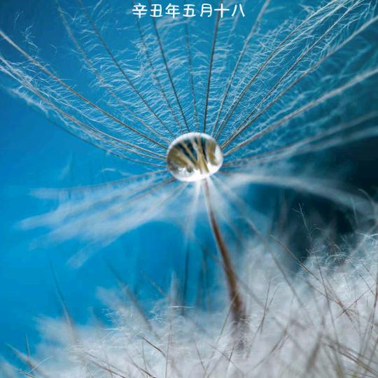 均辰涵然