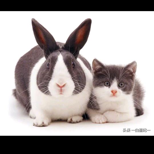 那个谁谁谁……