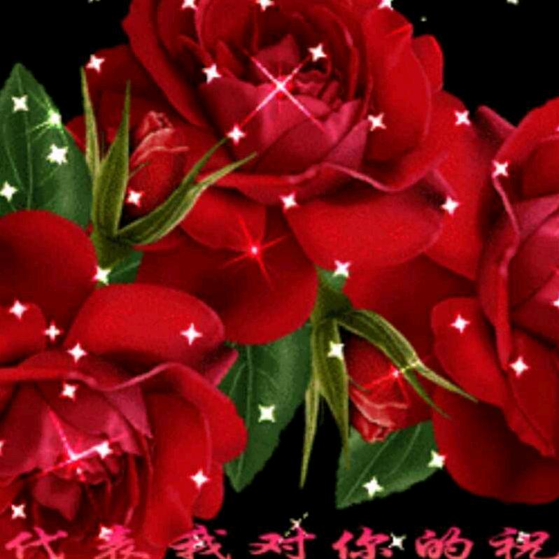 霞顺其自然(拒私聊)