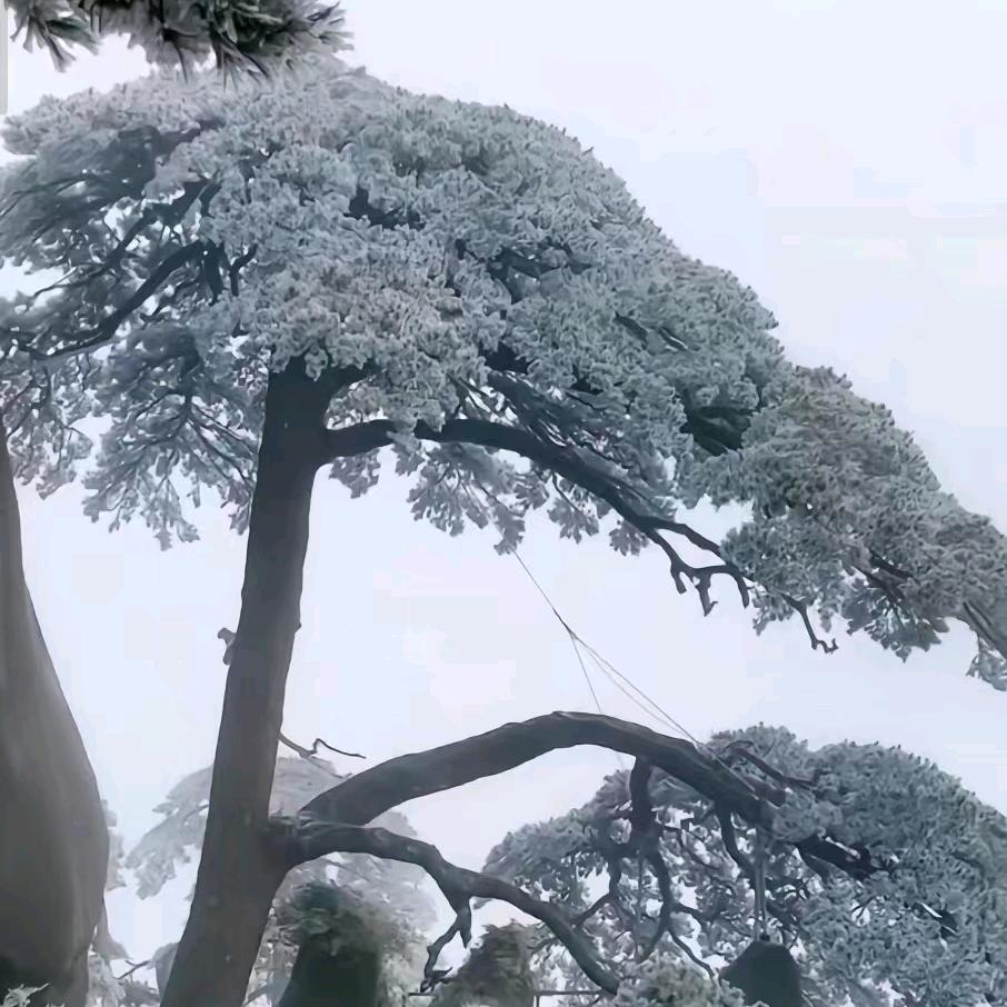 劉纳百川