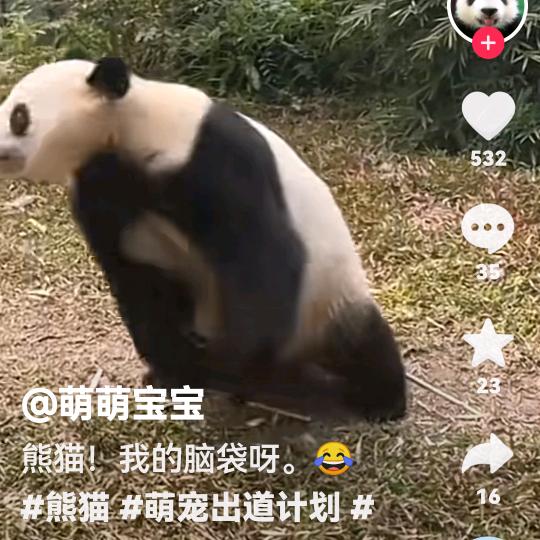 🔥🔥🔥抖音🔥美好生活💥💥💥