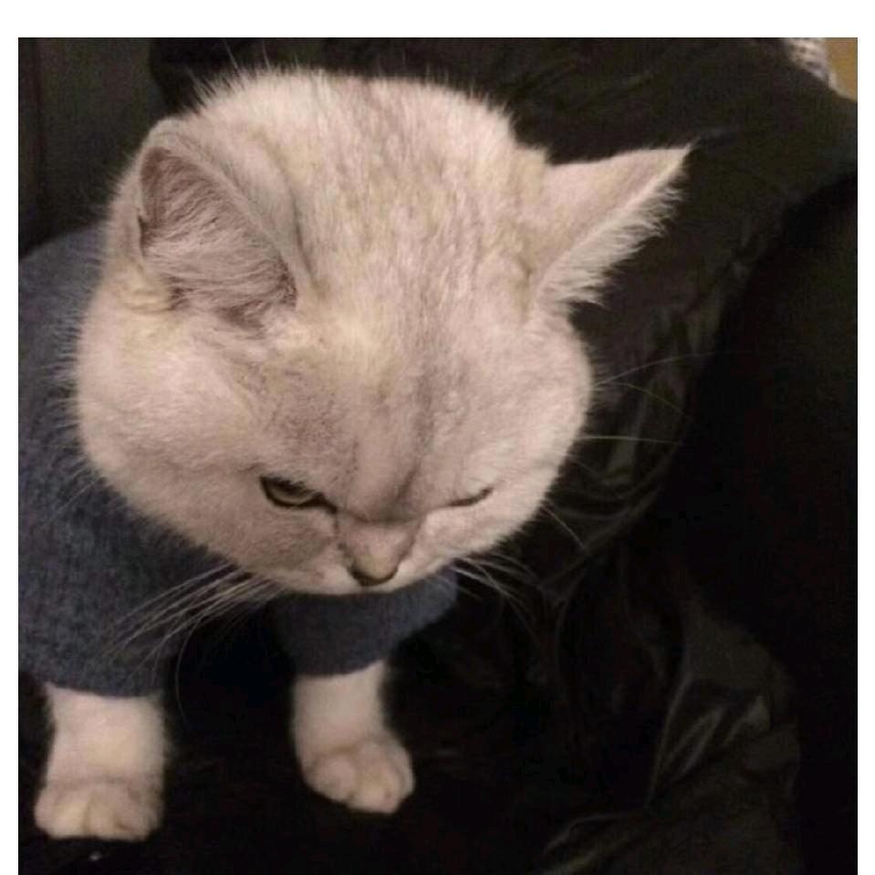 毒药