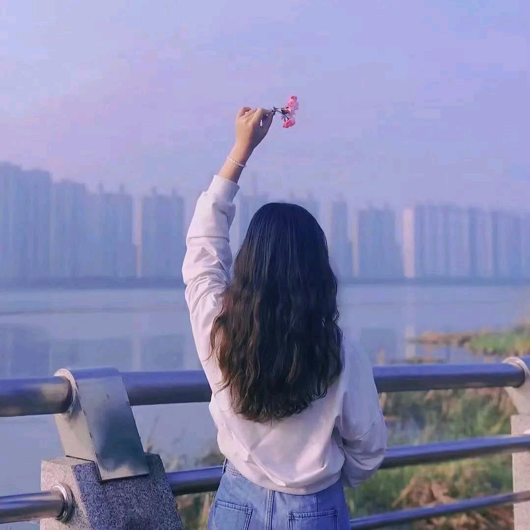 美美的橱窗