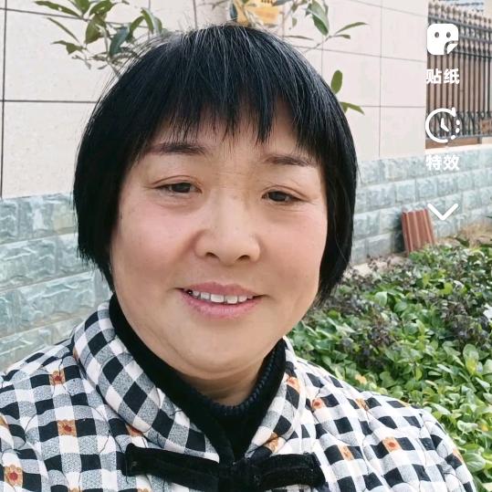 河南梅姐