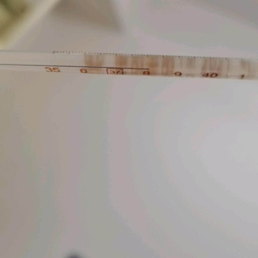 涛声依旧