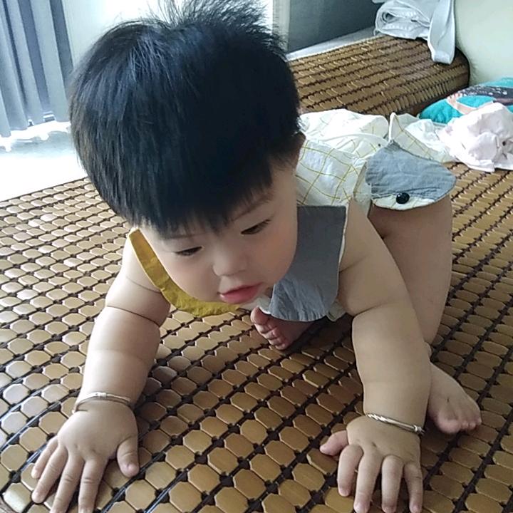 三宝麻麻