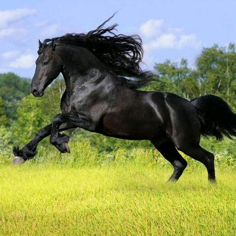 穷的很嚣张 先生