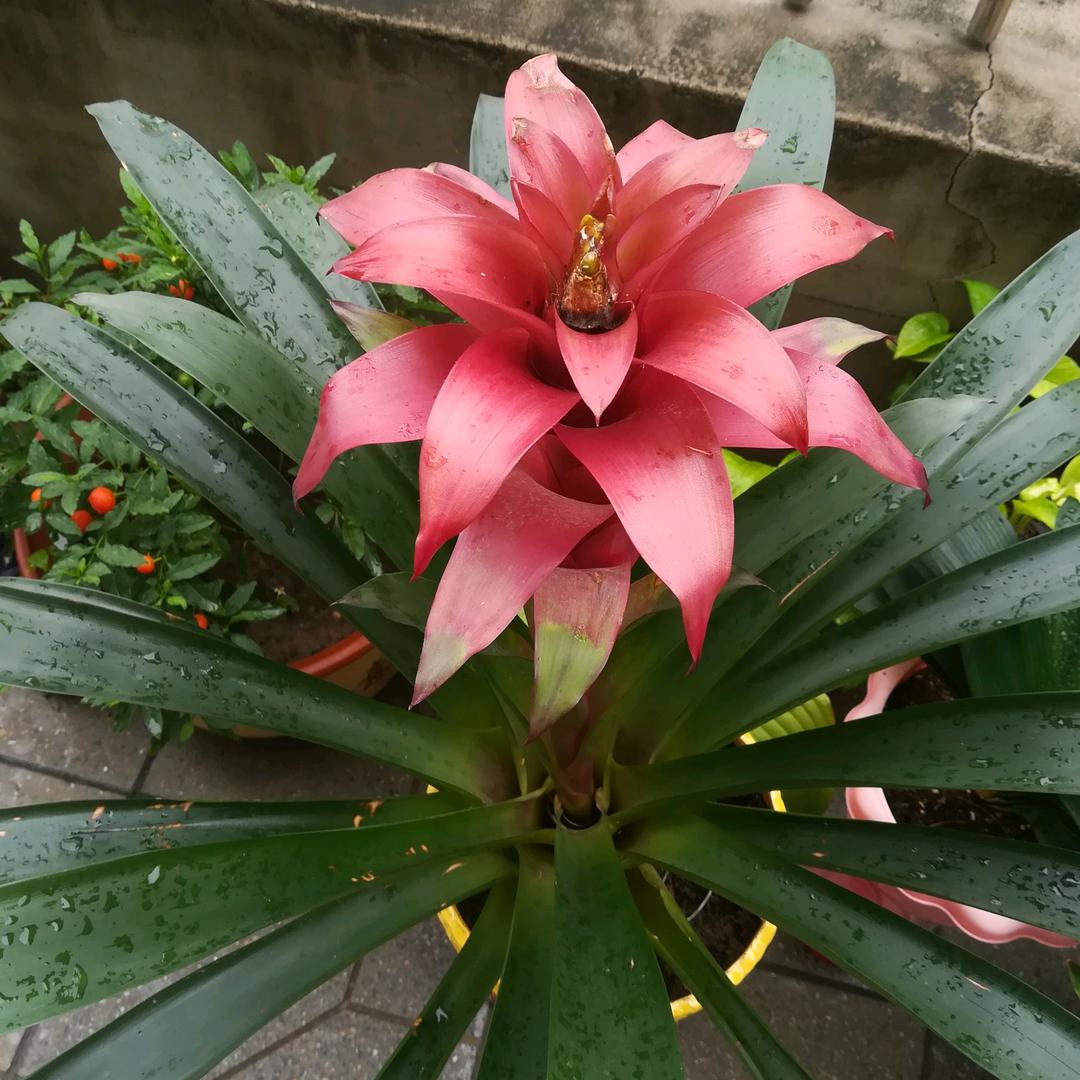 开开心❤心每一天