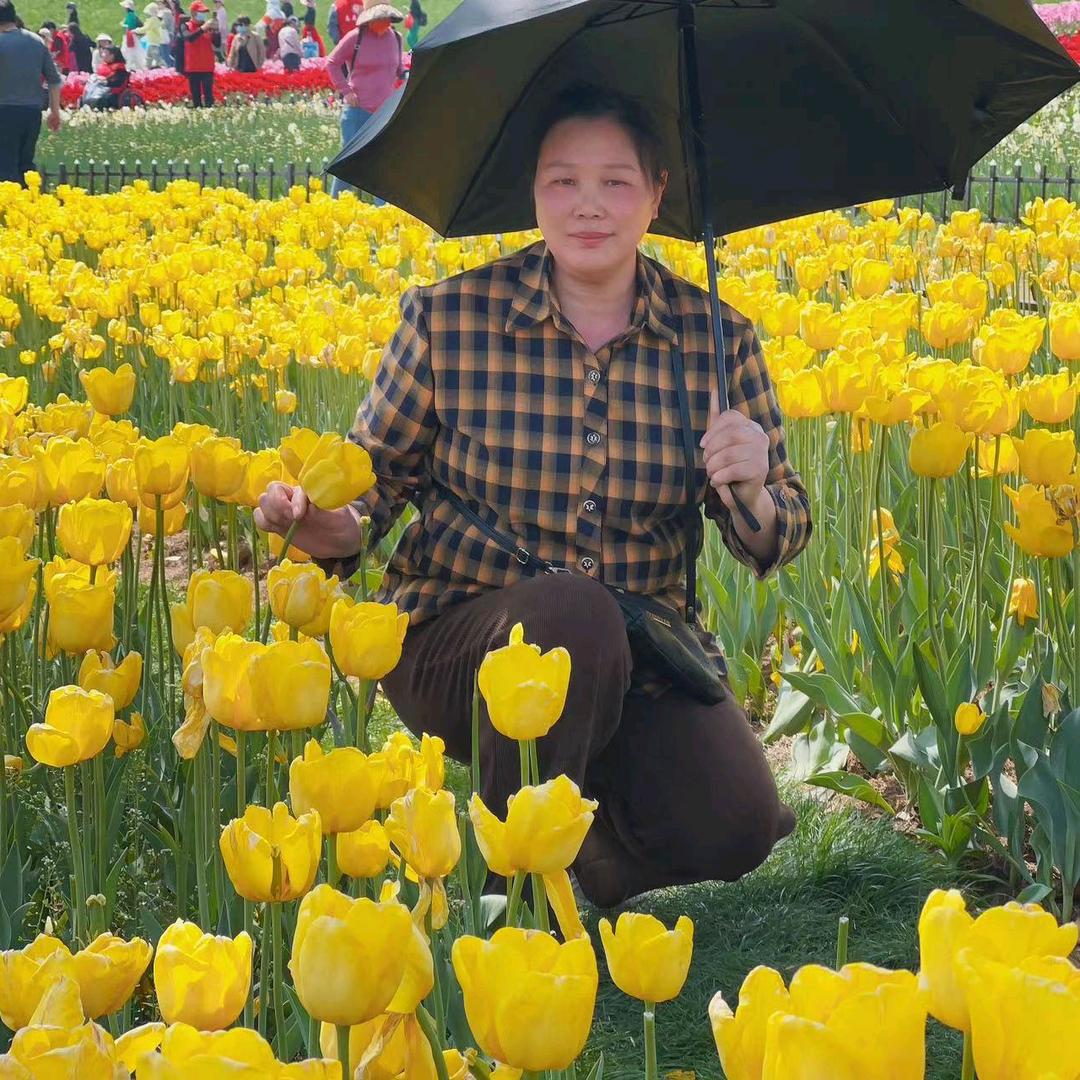 幸福人生(已开橱窗）
