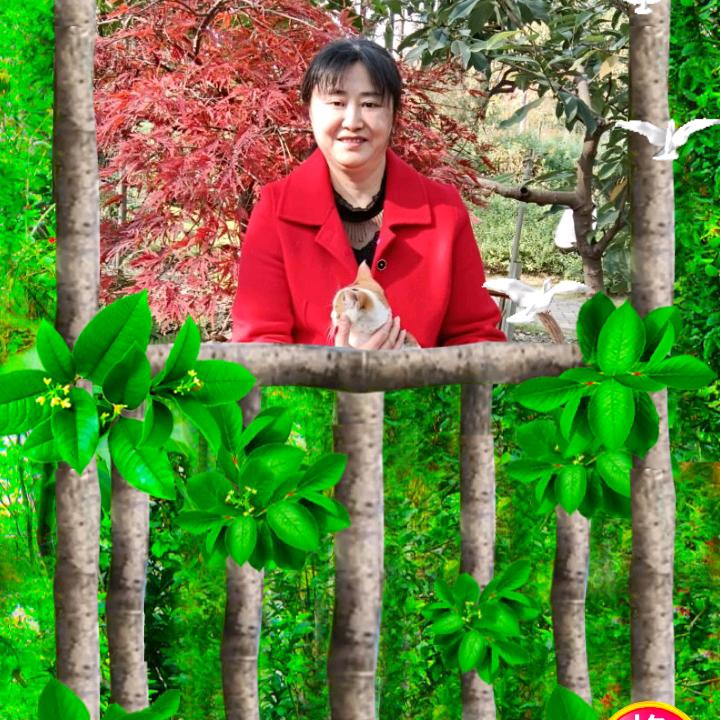 文米米。幸福在哪里