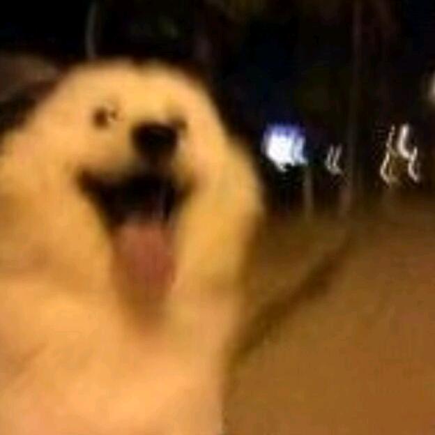 独行商人