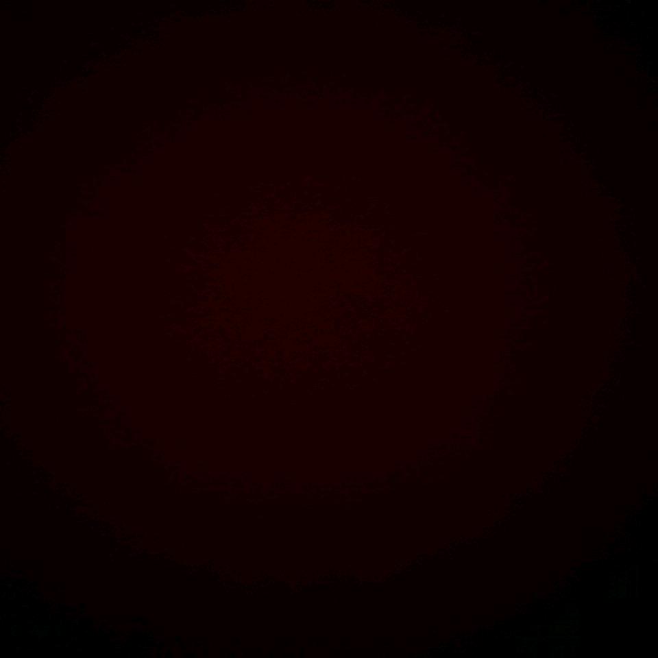 骨盗