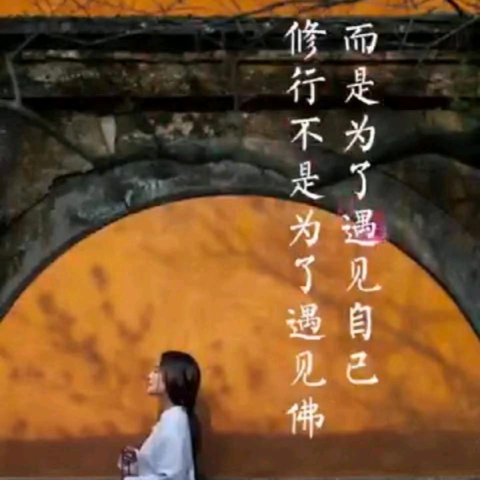 逍遥羽悟