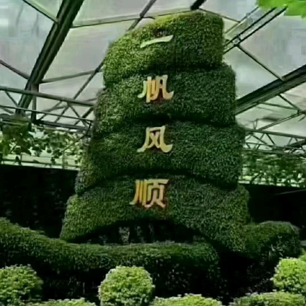 🐝 阑珊岚