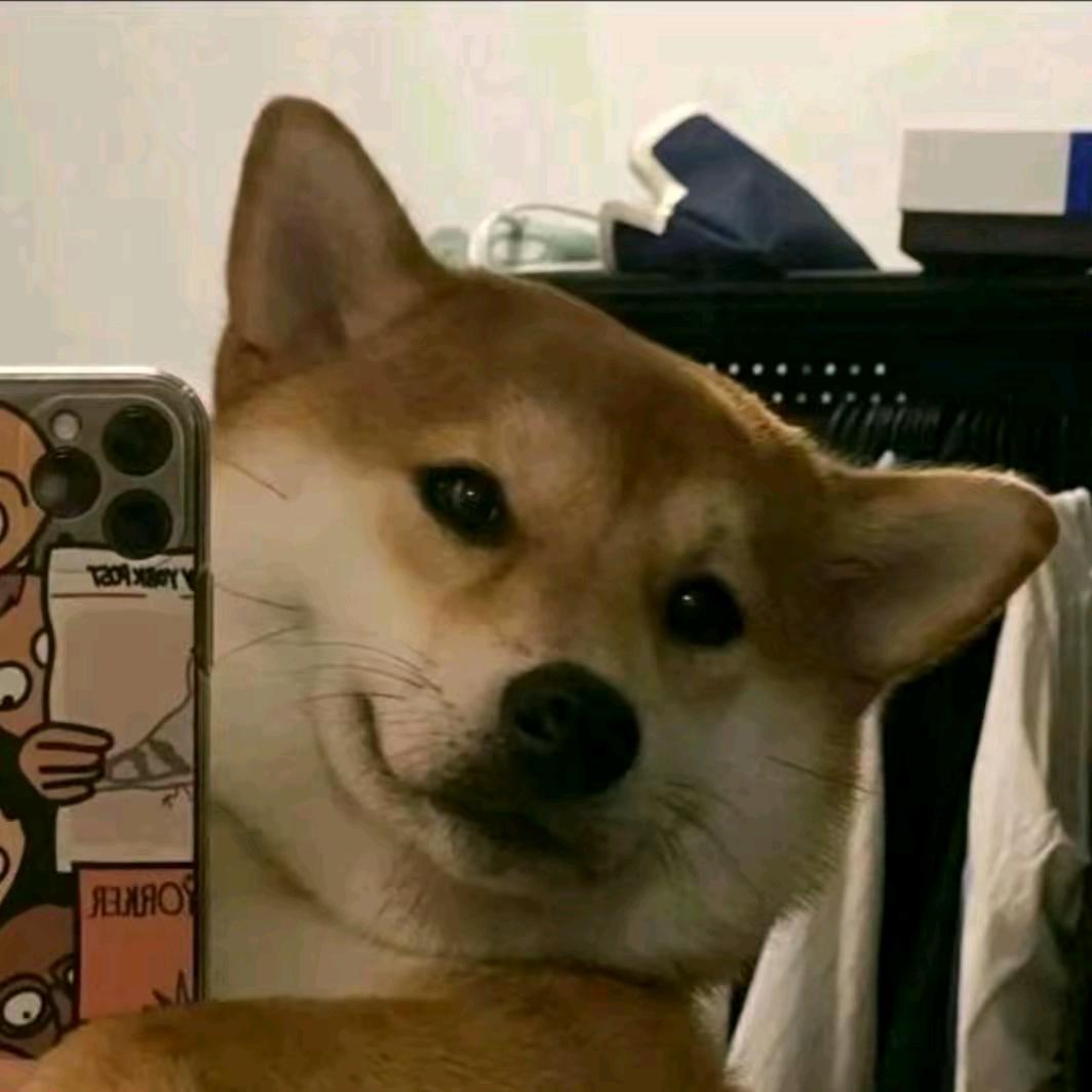 李怕怕👿