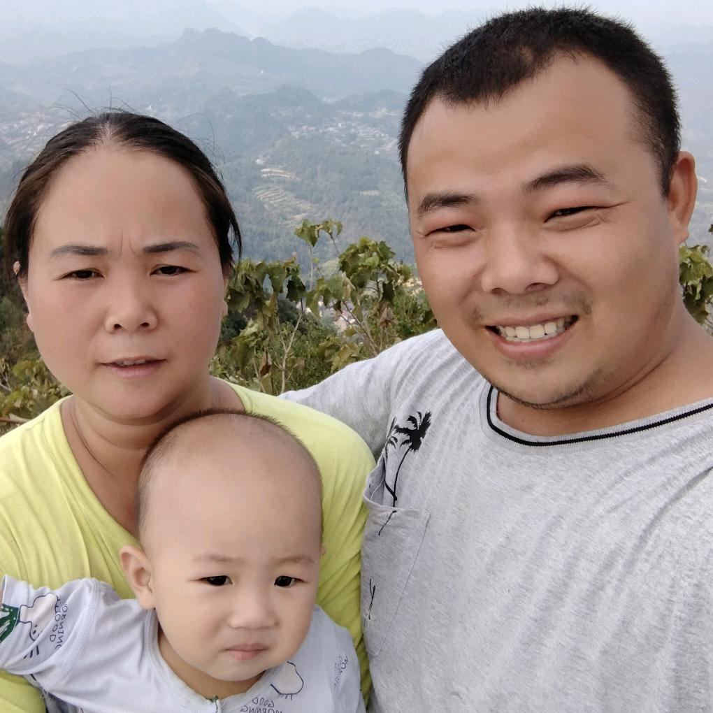 竹林散养鸡