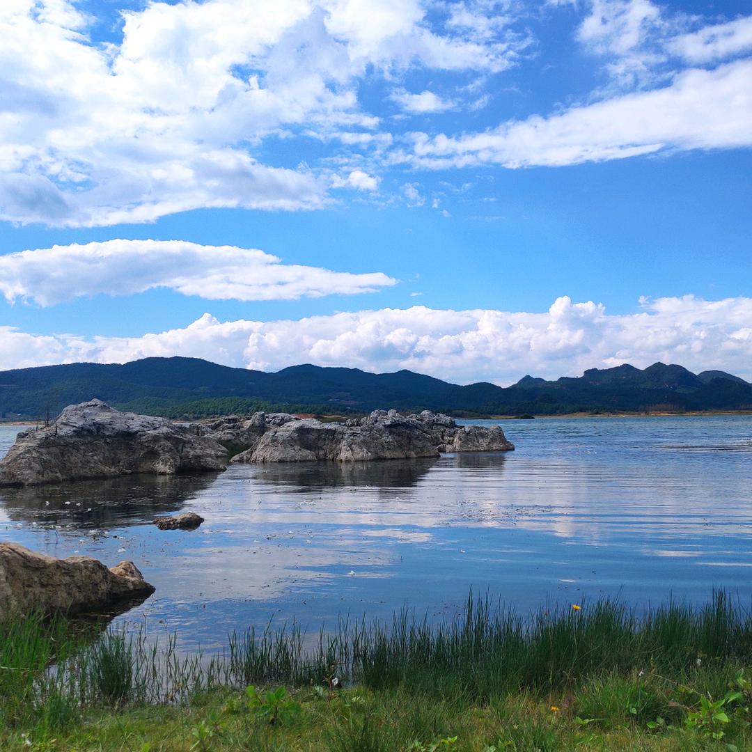 木 木 夕