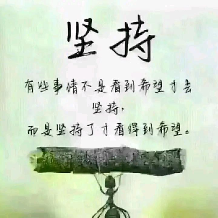 幸运草
