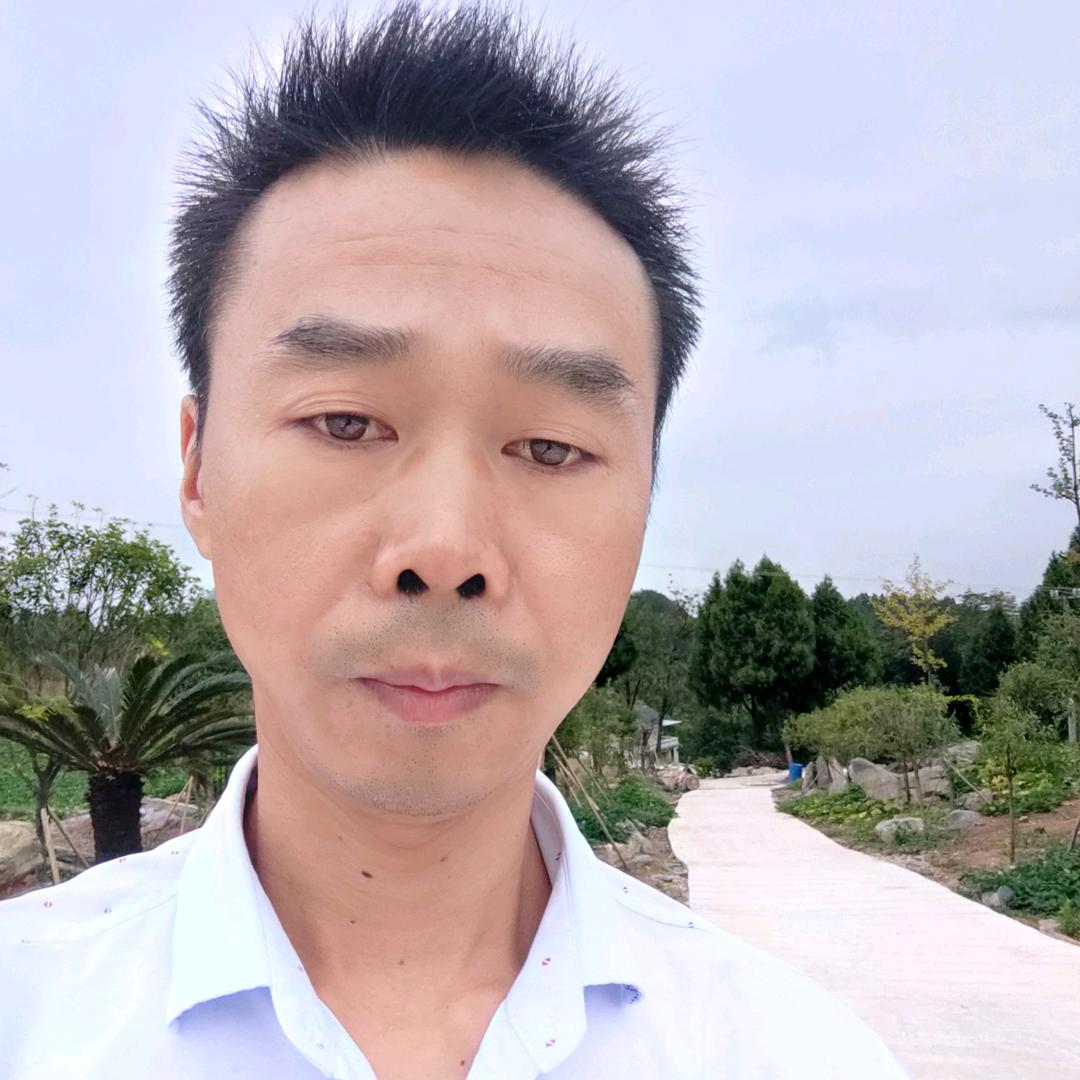 高哥跑滴滴
