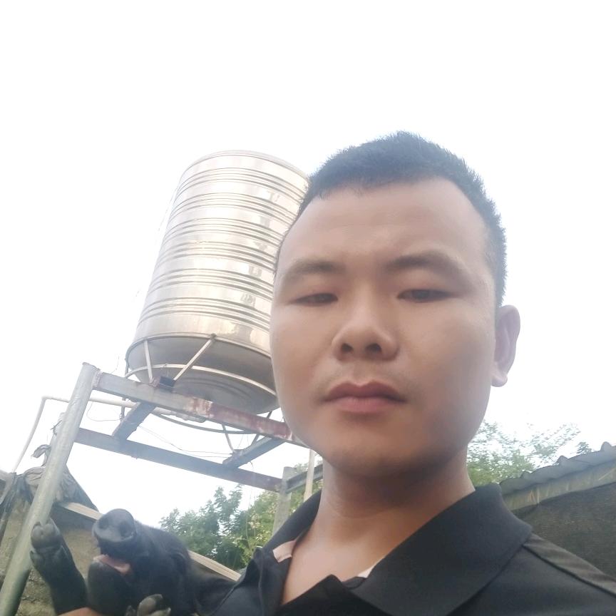 小强子