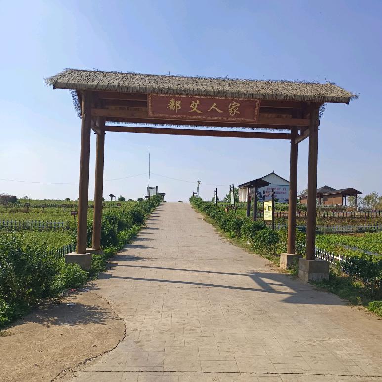 铲铲哥