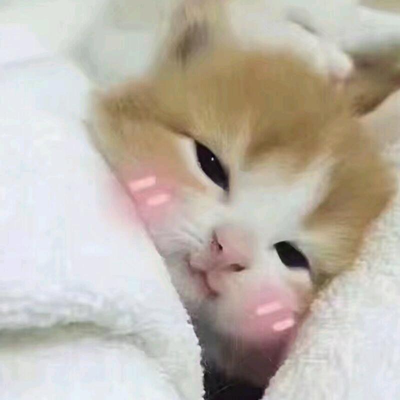 清盏i