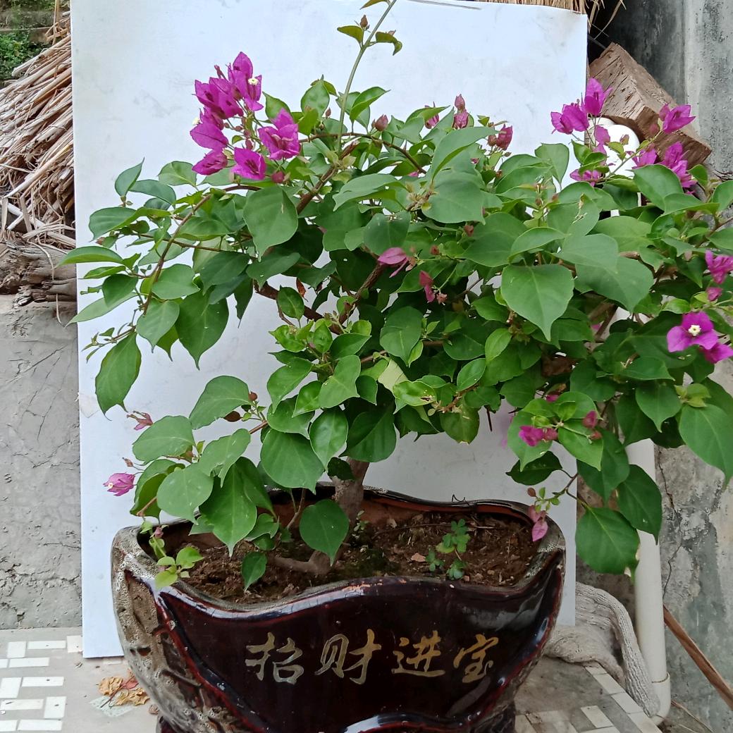 耀k歌