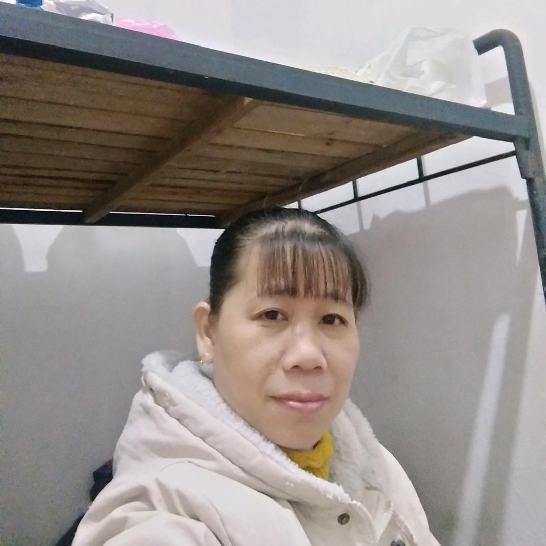 东金风凰于