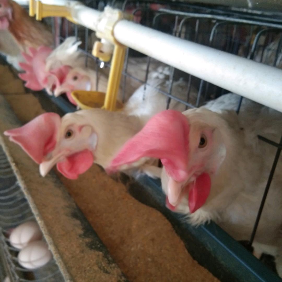 家和金满城饵丝铺