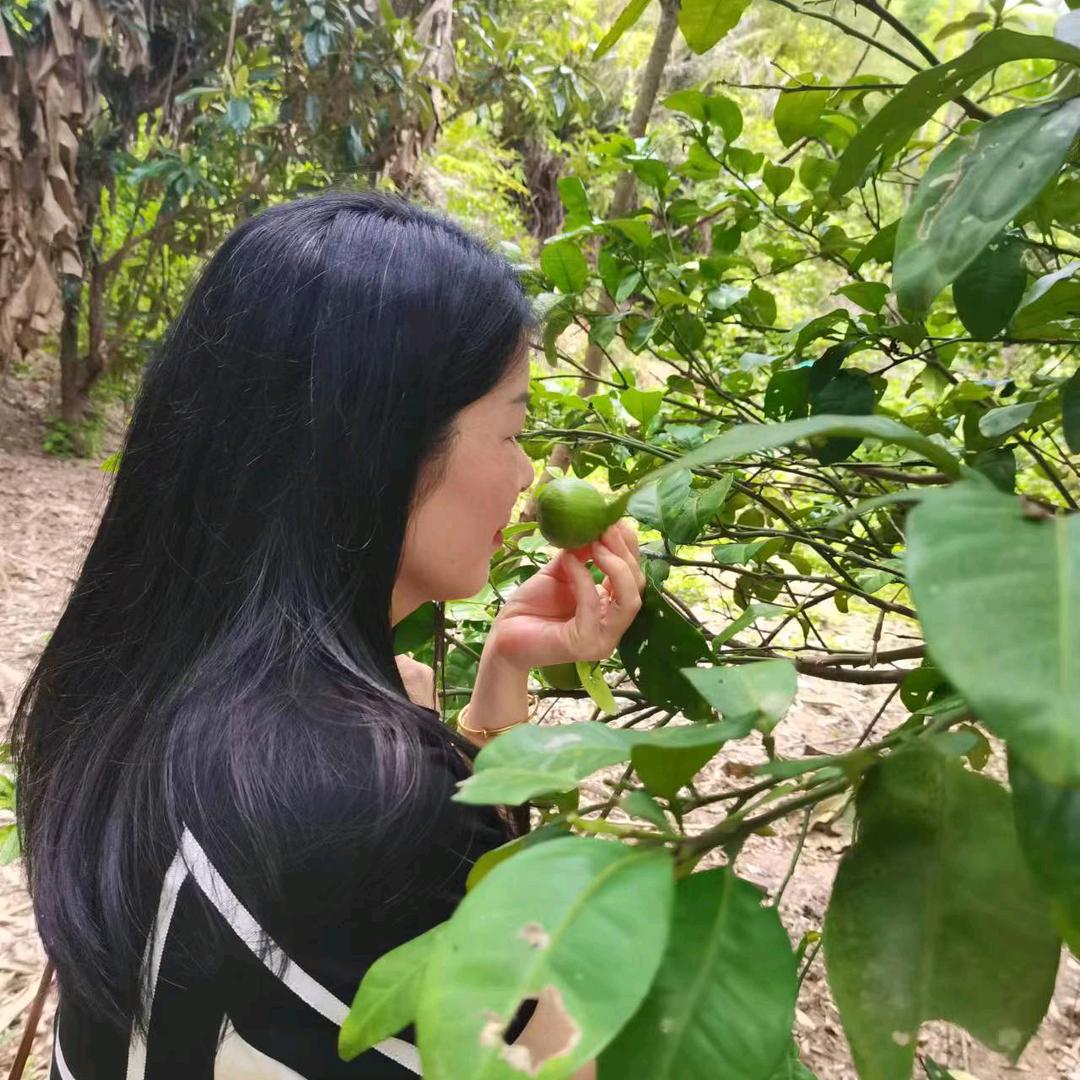 彩霞菇凉