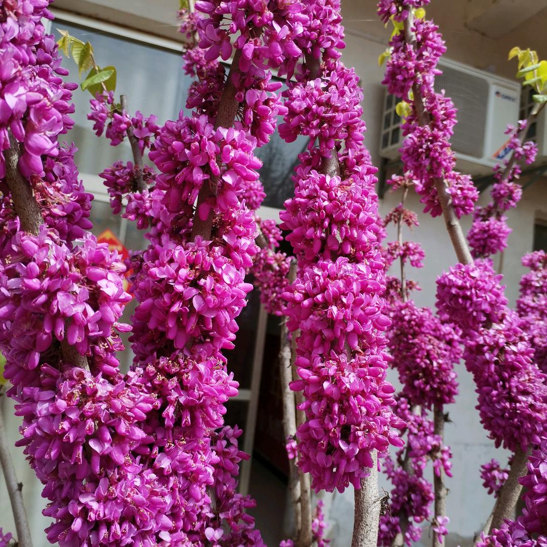 开心每一天😺😺