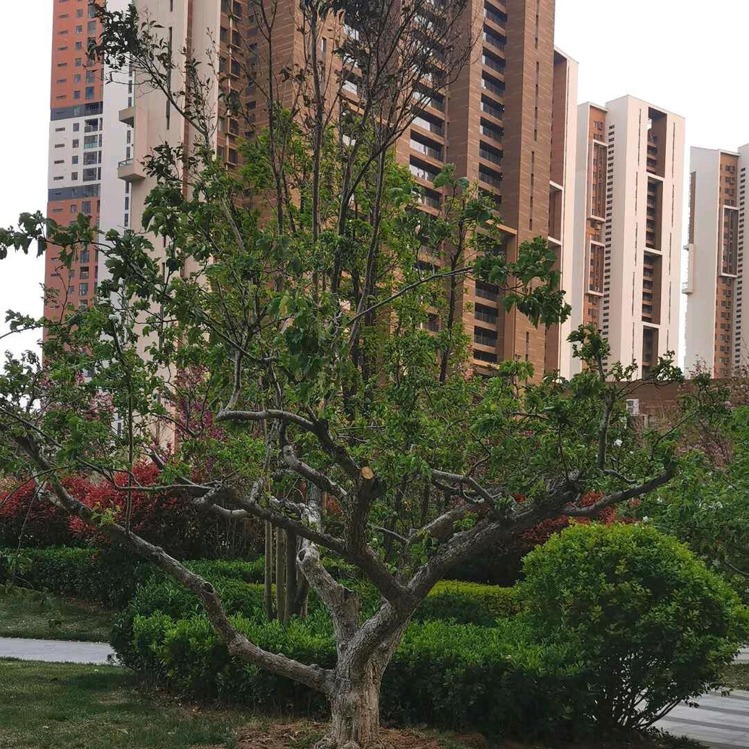 知心😀😀😀🌹🌹🌹🌹