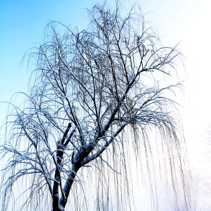 武汉防撞板冰火板碳晶板木饰面源头厂家