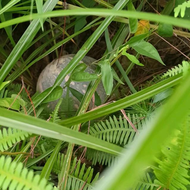 🥀এ᭄累了ꦿ谁💔疼ོ࿐ᩚ