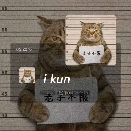 小琪