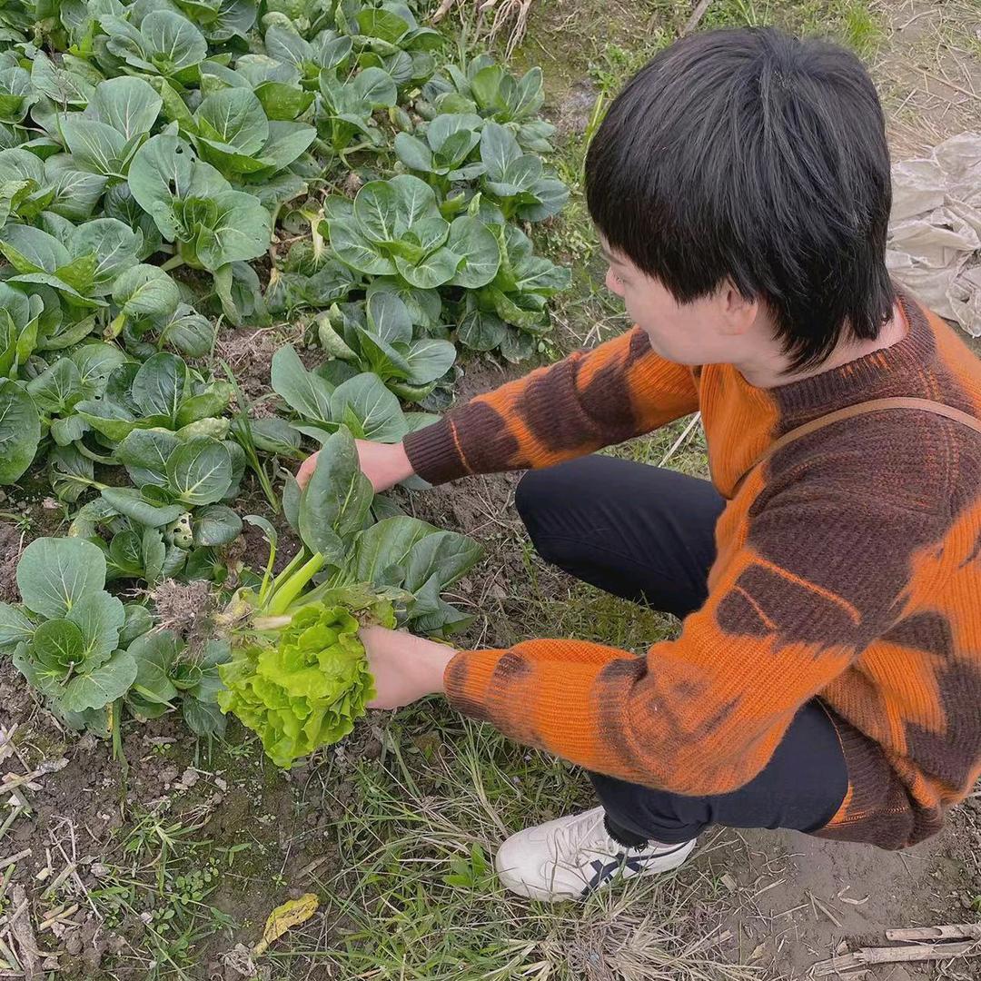 王者风范