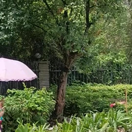 雨