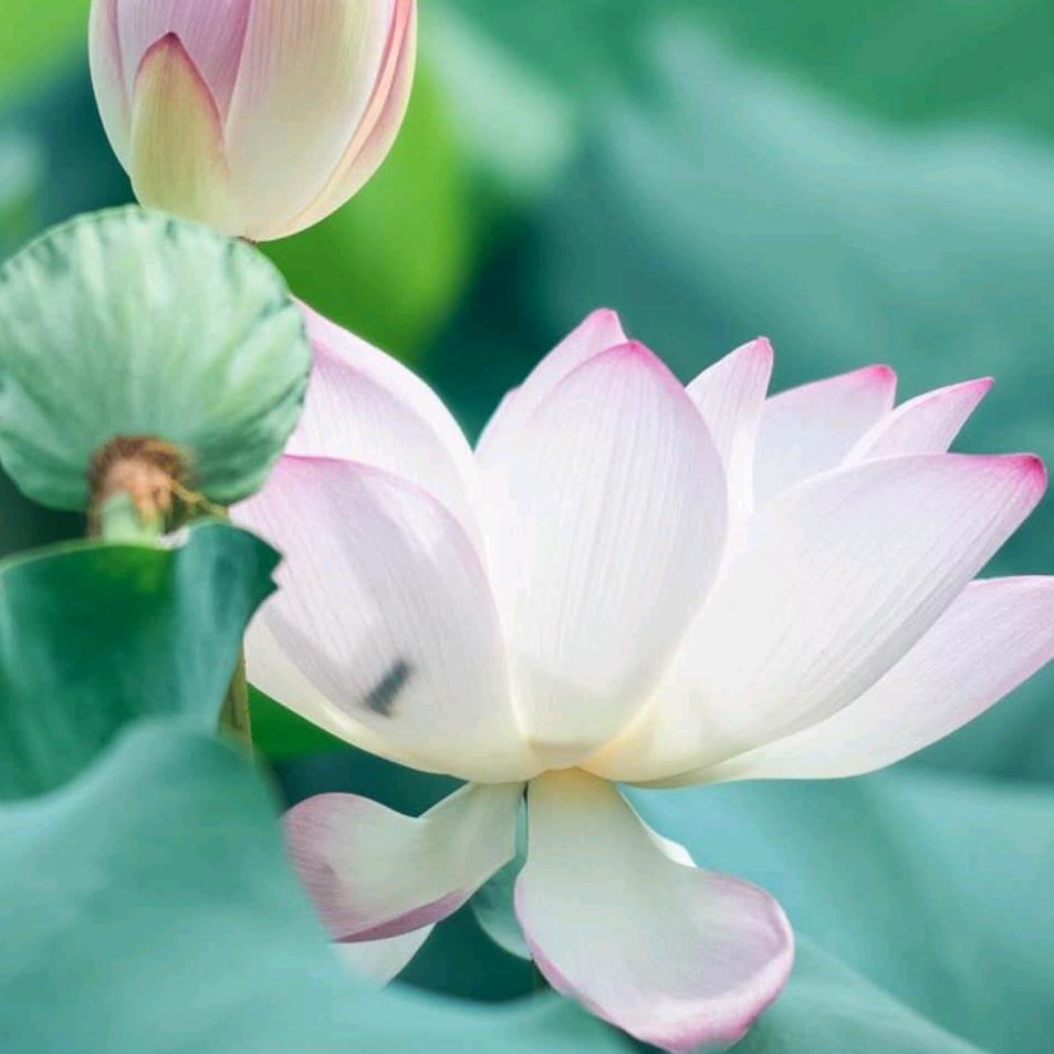 随缘🙏🙏🙏
