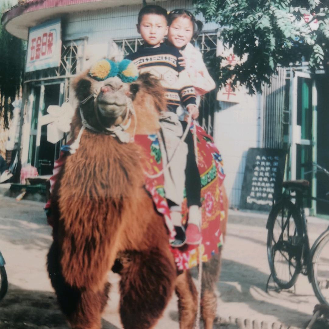 旬邑红太阳特产店