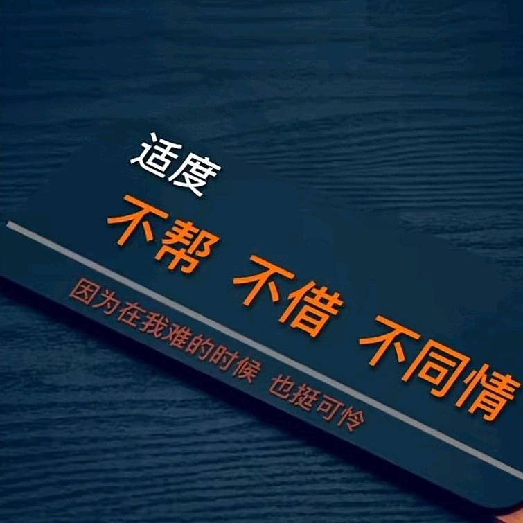 每天都在正经摸鱼